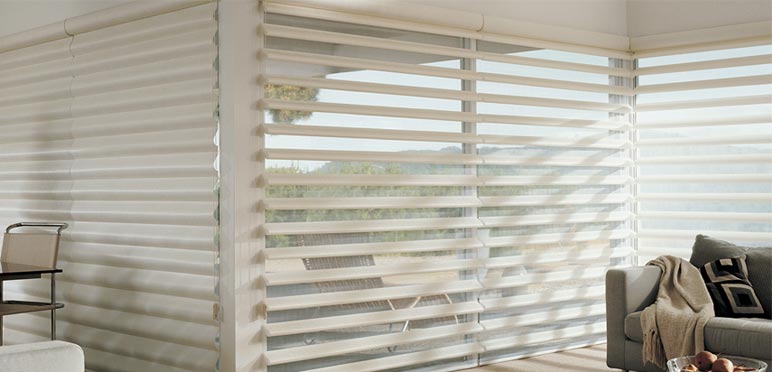 Window Shades | Living Room | St. Petersburg Florida Window Shades | Living Room | St. Petersburg Florida