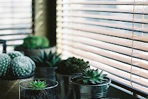 Window Treatment Installation Tampa Bay Area Window Treatment Installation Tampa Bay Area