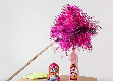 Feather Duster