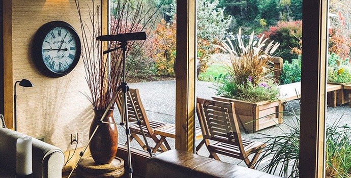 Living Room Windows