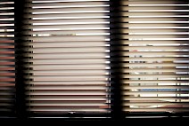 Window Blinds Window Blinds